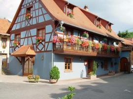 Hotel et Spa du Scharrach，位于Scharrachbergheim Irmstett的酒店