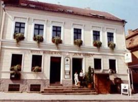 Hotel-Restaurant Zum Löwen，位于巴特弗赖恩瓦尔德的酒店