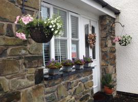Snowdonia Snug - Studio Style Accommodation，位于多尔盖罗的酒店