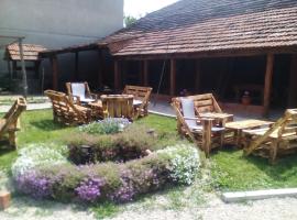 Stara Planina Vila Vesela kuca，位于Jalovik Izvor的酒店