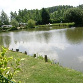 Auberge des Etangs，位于Roussent的酒店