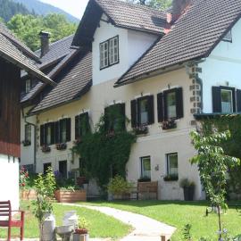 Das kleine Paradies，位于黑马戈尔的酒店
