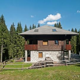 Apartments Villa Vesna Pokljuka，位于Goreljek的酒店