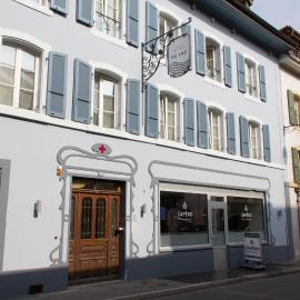 Hotel du Lac Grandson，位于Grandson的酒店