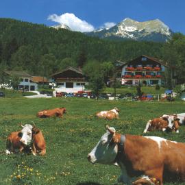 Ferienhotel Barmsee，位于克伦的酒店