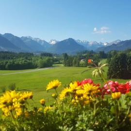 Berghof Mehlan，位于费斯恩的酒店