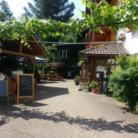 Landgasthof Linkenmühle，位于Hornbach的酒店