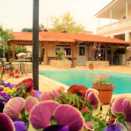 Jacuzzi Pool House AMA5690，位于哈尔基斯的酒店