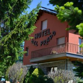 Hotel del Prado，位于普奇塞达的酒店