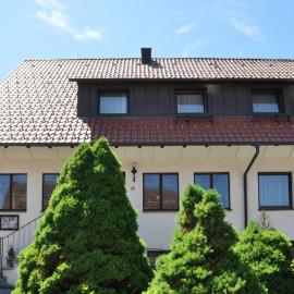 Gasthof-Hotel-Löwen，位于黑欣根的酒店