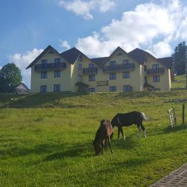 Połonina，位于科尔别卢夫的酒店
