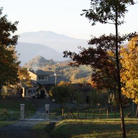 Ospitalita' Rurale Casa Cani，位于贝尔切托的酒店