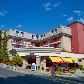 Alpine Classic Hotel，位于莱森的酒店