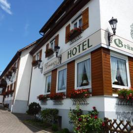 Hotel Landgasthof Grüner Baum，位于Hochdorf的酒店