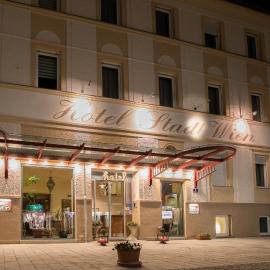 Hotel Stadt Wien，位于巴特斯哈尔巴赫的酒店