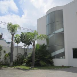Auto Hotel Mediterráneo，位于贾拉普的酒店