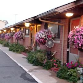 Swiss Mountain Motel，位于Thayne的酒店