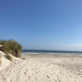 Effe Wad