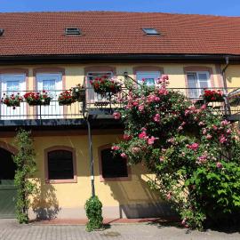 Gersthof，位于埃尔丁的酒店