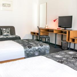 Hotel Delminivm