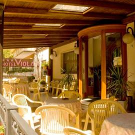 Hotel Viola，位于卡拉马尼科泰尔梅的酒店