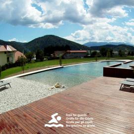 Apartments & Wellness Skok，位于莫济列的酒店