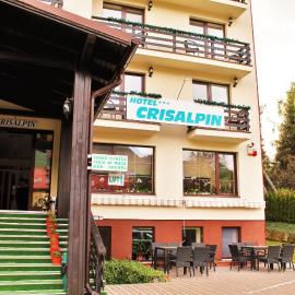 Hotel Crisalpin，位于波亚纳布拉索夫的酒店