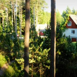 Roosi Holiday Home，位于冉那库拉的酒店