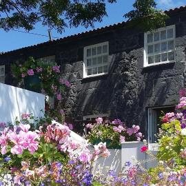 Casa do Zé - AL，位于Manadas的酒店