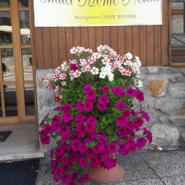 Chalet Monte Nebius，位于维纳迪奥的酒店