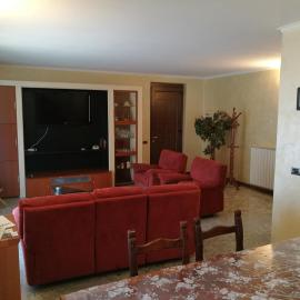 Pellico Apartment，位于布鲁萨珀尔图的酒店