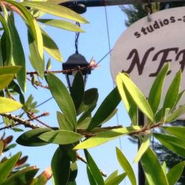Nefeli Studios，位于卢特拉艾季普苏的酒店