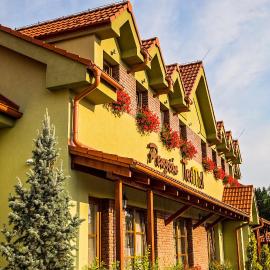 Penzion Termal，位于波切尼斯的酒店