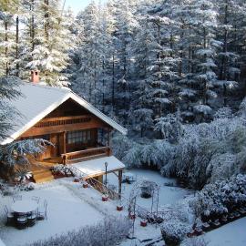 The Chalets Naldehra，位于西姆拉的酒店