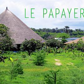 Le Papayer Écolodge，位于Boukot Ouolof的酒店