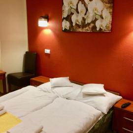 Hotel i Restauracja Sara，位于波兰尼卡-兹德鲁伊的酒店