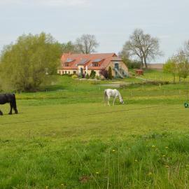 Heu-Ferienhof Altkamp，位于普特布斯的酒店