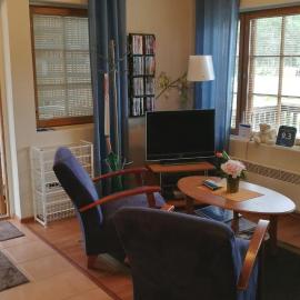 Levin Alppi 3 A 1 Apartment，位于列维的酒店