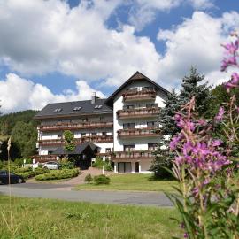 Hotel Thüringer Wald，位于伊尔梅瑙的酒店