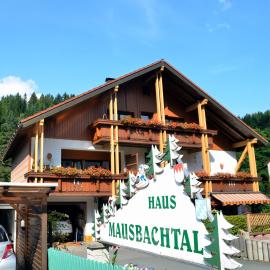 Pension Mausbachtal，位于瓦门施泰纳赫的酒店