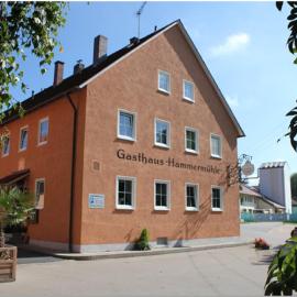 Landgasthof-Hotel Hammermühle,位于多瑙斯陶夫的酒店