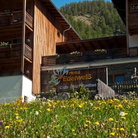 Hotel Edelweiss,位于马莱斯韦诺斯塔的酒店