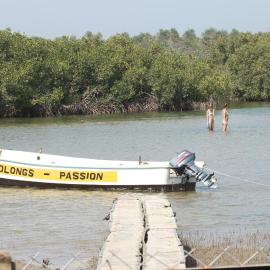 Bolongs Passion
