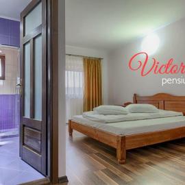 Pensiunea Victoria，位于Şuţu的酒店