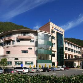 Hoya Resort, Wuling，位于和平区的酒店