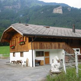 Eichhof Brienzwiler Berner Oberland，位于Brienzwiler的酒店