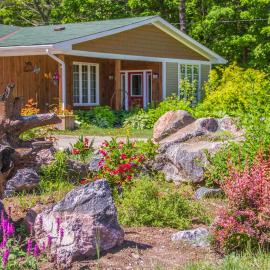 Bear & Butterfly Bed and Breakfast，位于格雷文赫斯特的酒店