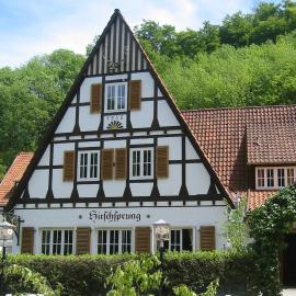 Landhaus Hirschsprung，位于代特莫尔德的酒店