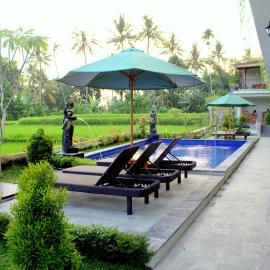 The Carik Bisma Ubud，位于乌布的酒店