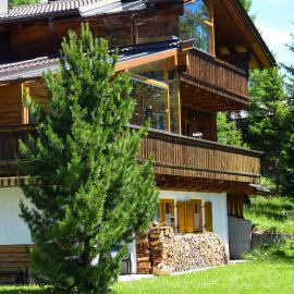 Gomig Hütte，位于Obernussdorf的酒店